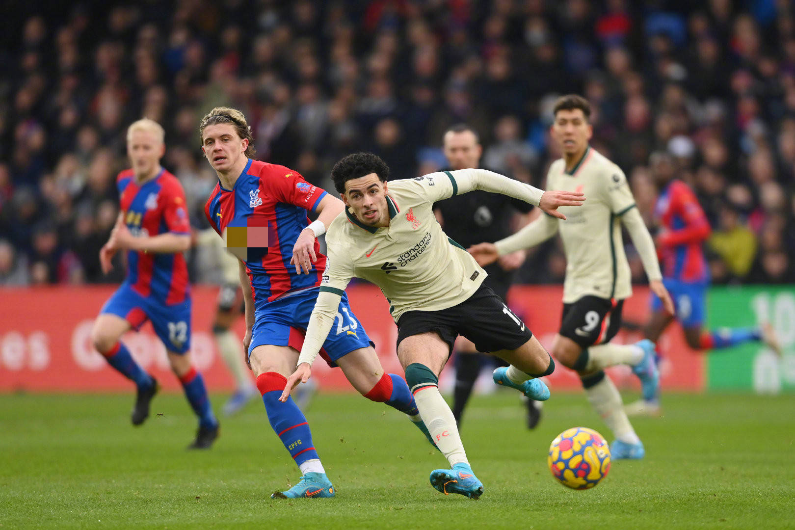 的伙伴共同 的伙伴共同